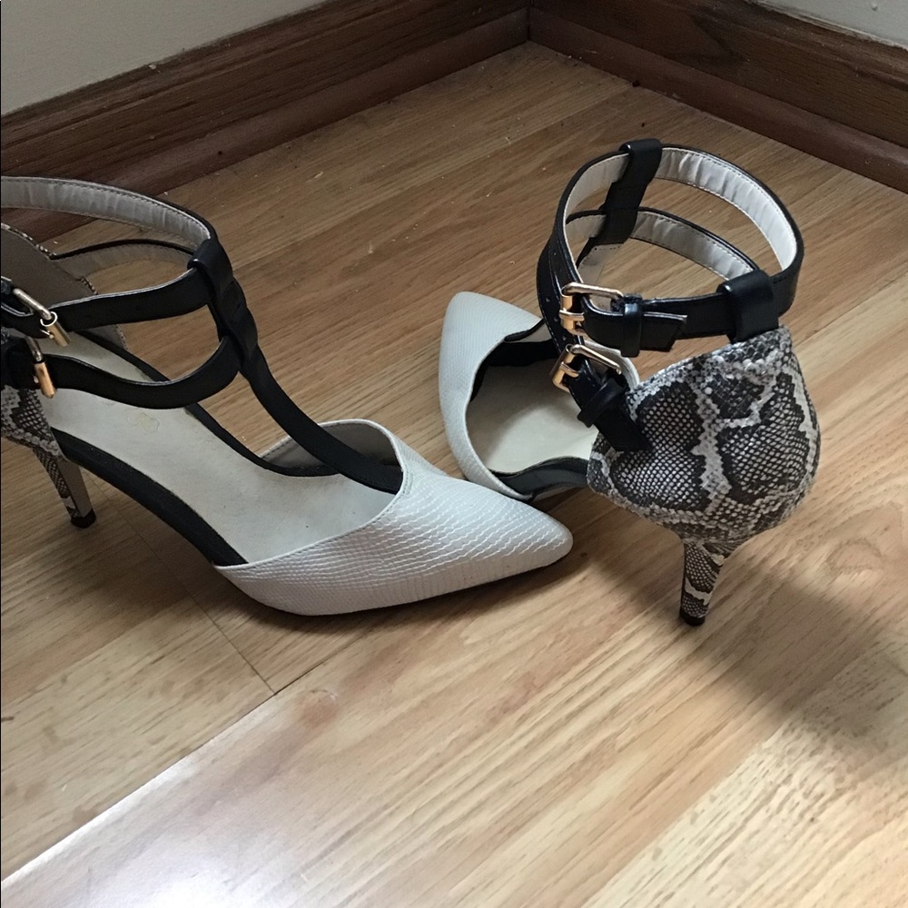 ALDO snake pump